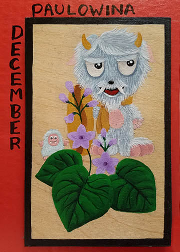 Hanafuda December PAULOWINA 'Yeti'
